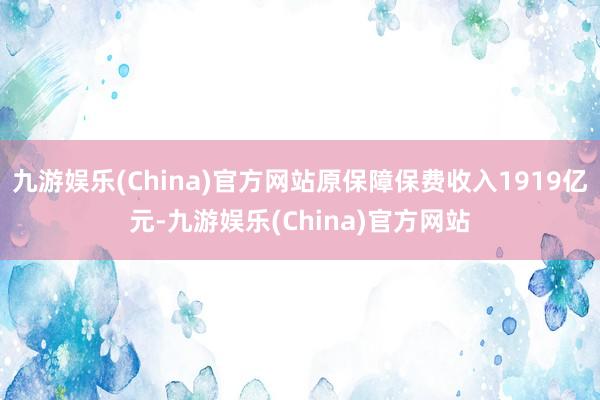 九游娱乐(China)官方网站原保障保费收入1919亿元-九游娱乐(China)官方网站